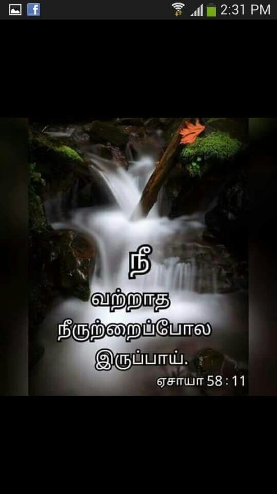 Motivation Tamil Bible Verses - 540x960 Wallpaper 