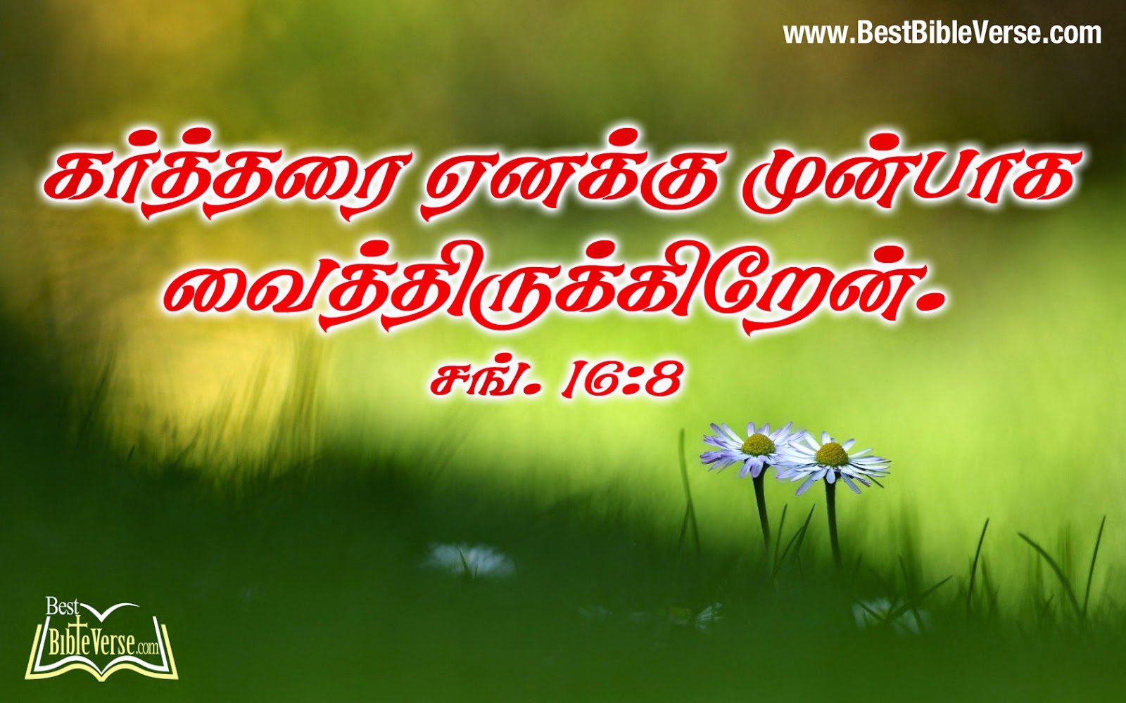 Download Tamil Bible Words Hd Wallpaper Gallery Modern - Jesus Bible Words In Tamil - HD Wallpaper 