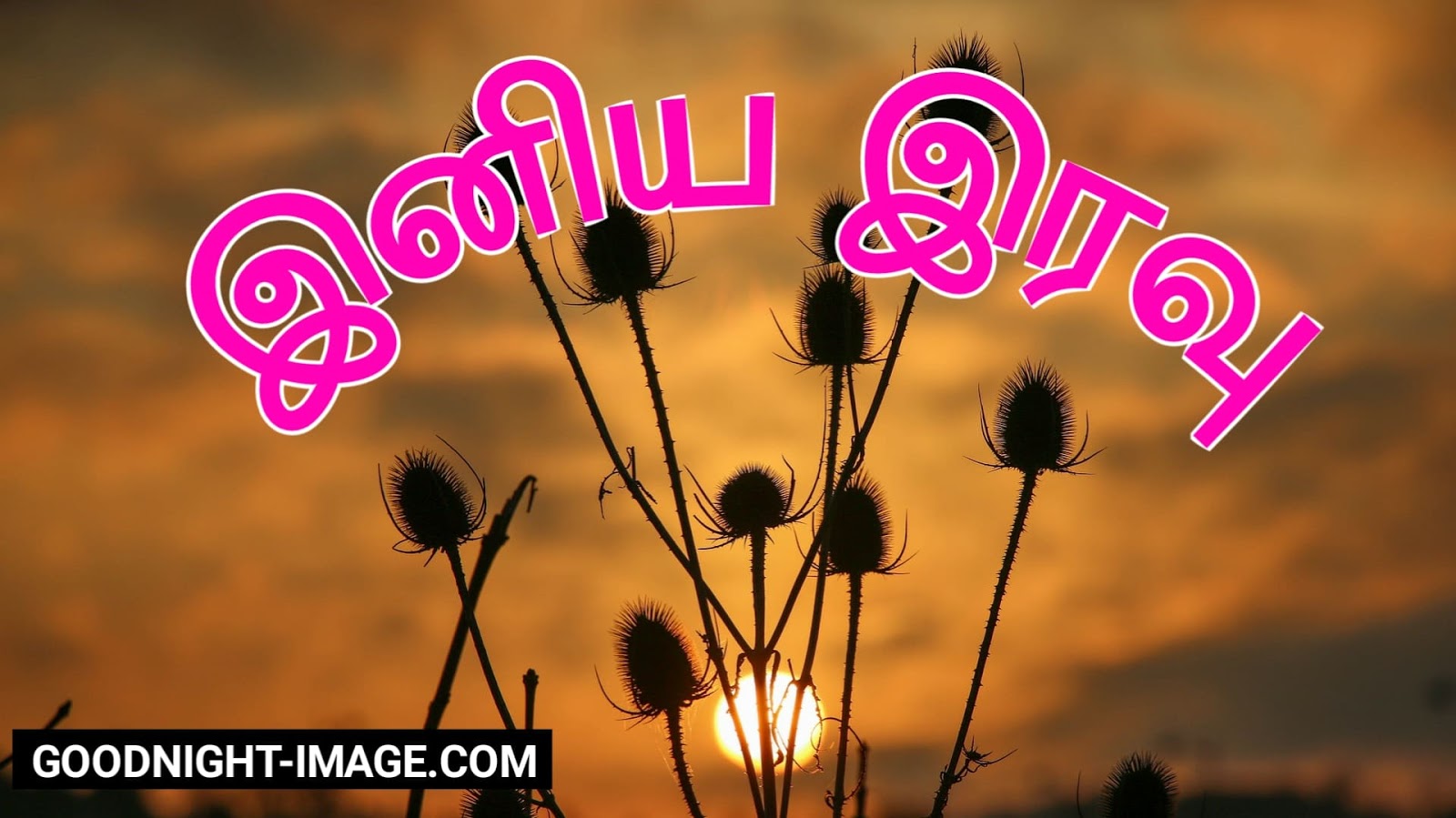 Good Night Image Tamil Kavithai Download Hd - State University Of Malang - HD Wallpaper 