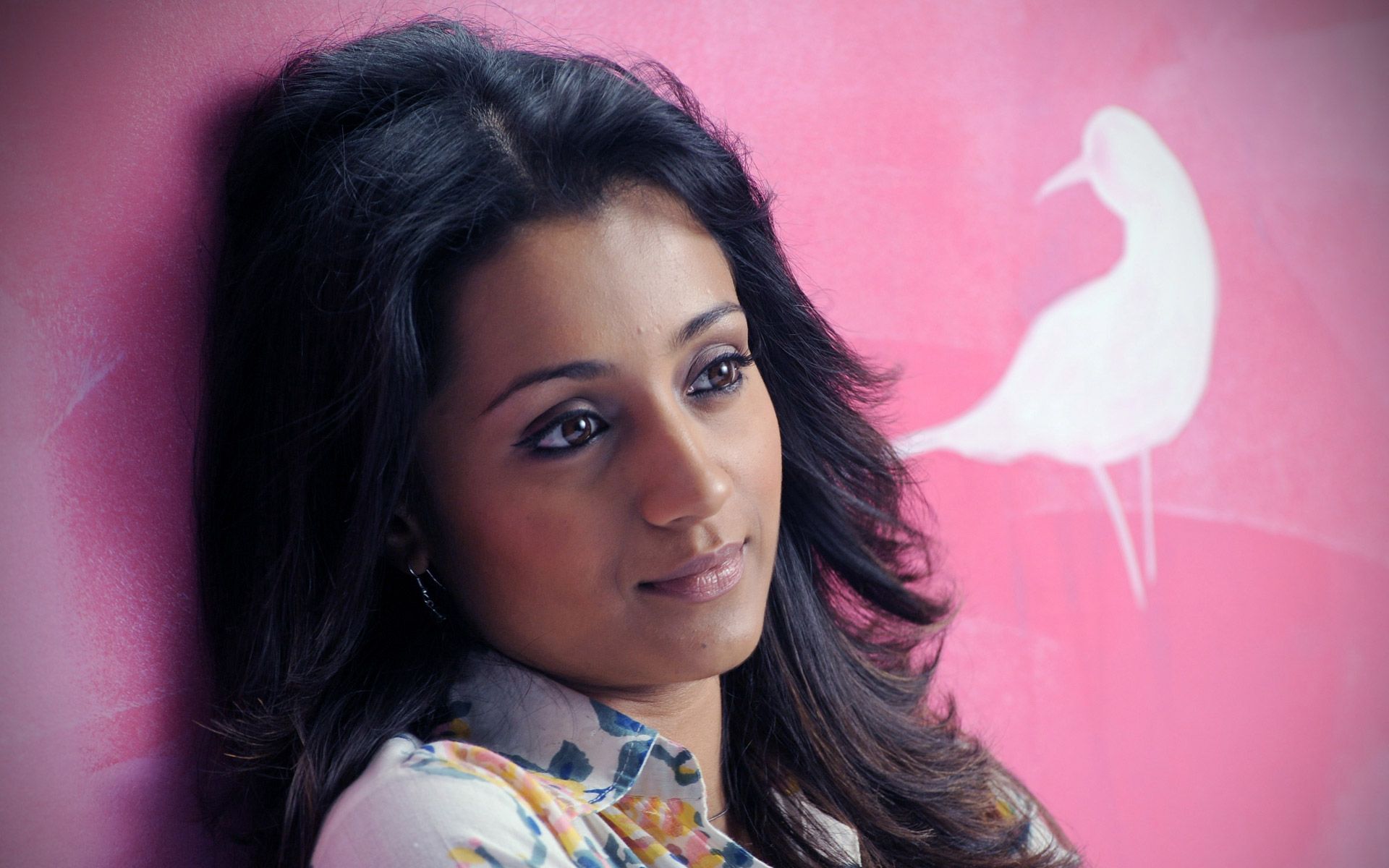 Trisha Krishnan Without Makeup - HD Wallpaper 