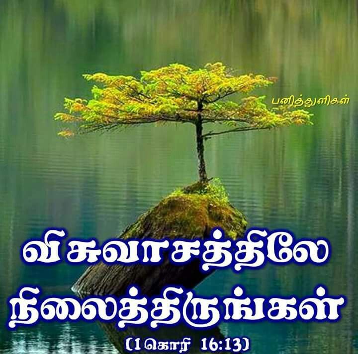 Faith Tamil Bible Quotes - HD Wallpaper 