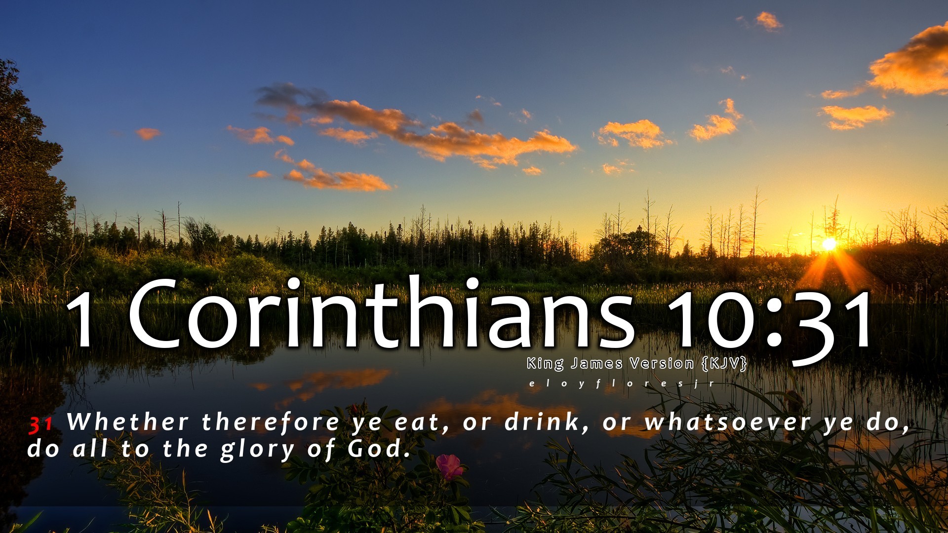 1 Corinthians 10:31 - wide 3