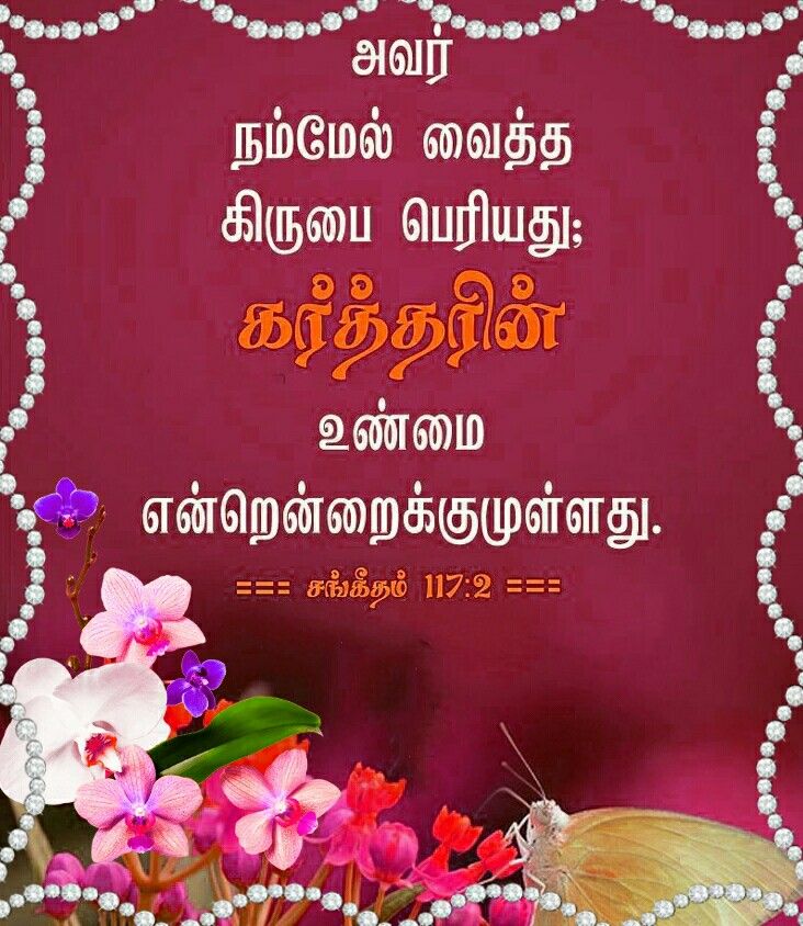 50644392 Pin By Malar Tr On Bible Verses With Images - Rosa Glauca - HD Wallpaper 