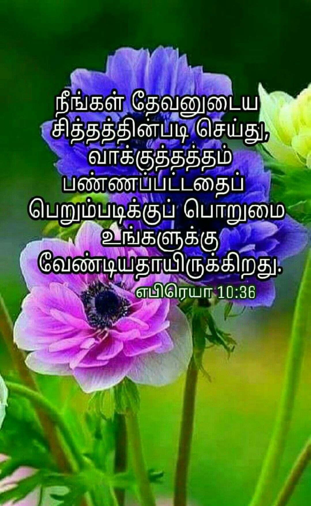 Nature Of Beauty Flowers - HD Wallpaper 