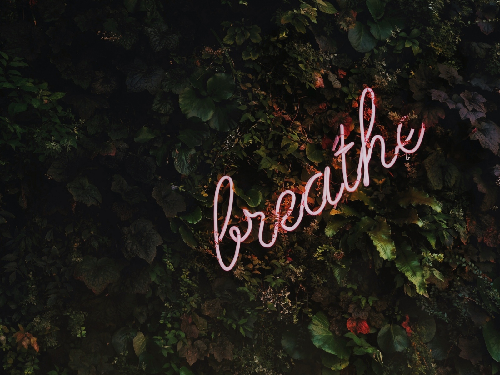 Breathe Header - HD Wallpaper 