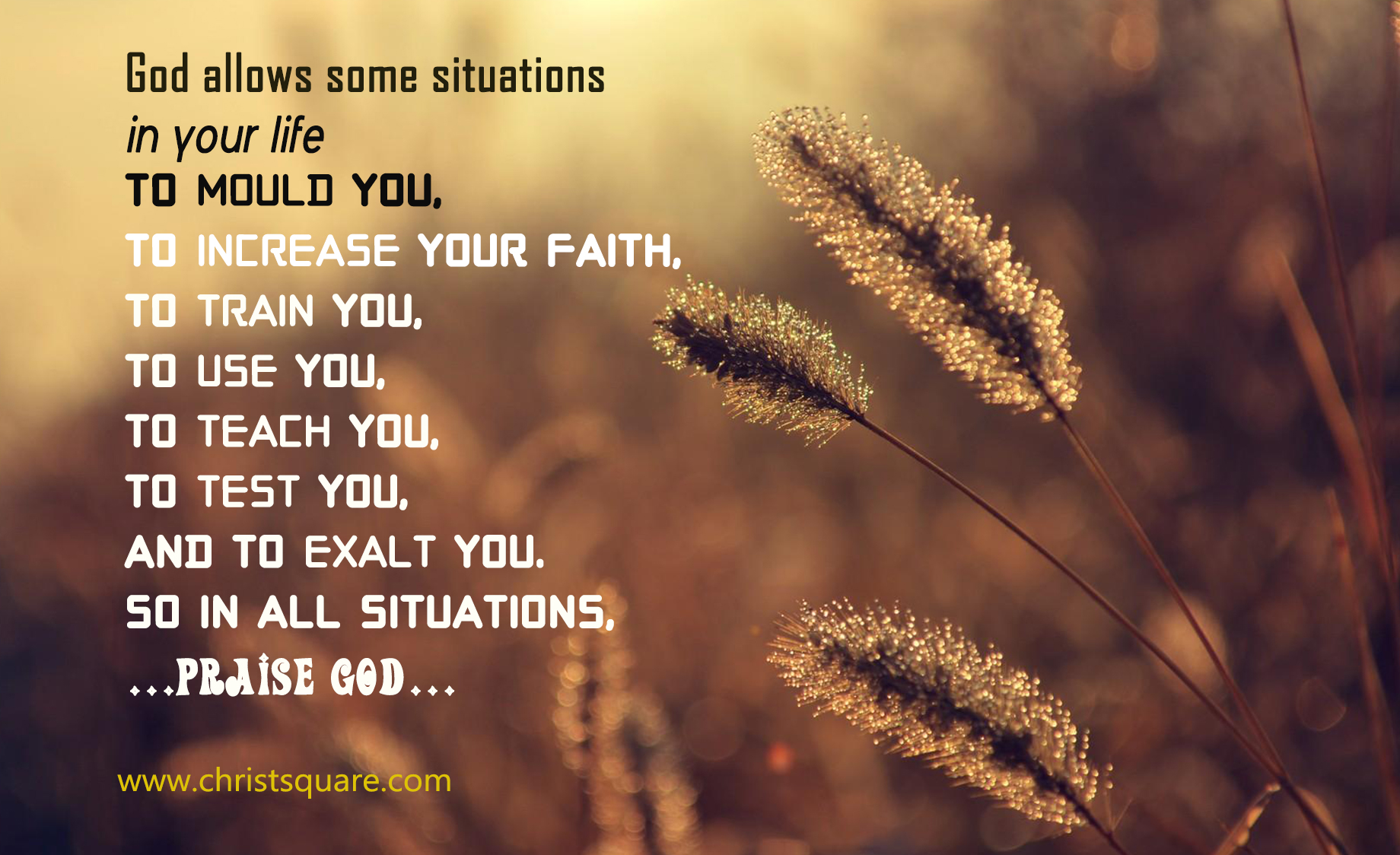 Vintage Fashion Photography Backgrounds - HD Wallpaper 