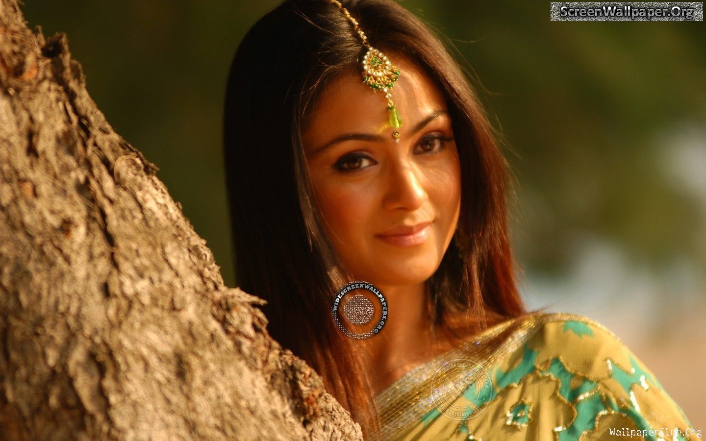 Tamil Heroine Wallpaper - Simran In Saree - HD Wallpaper 