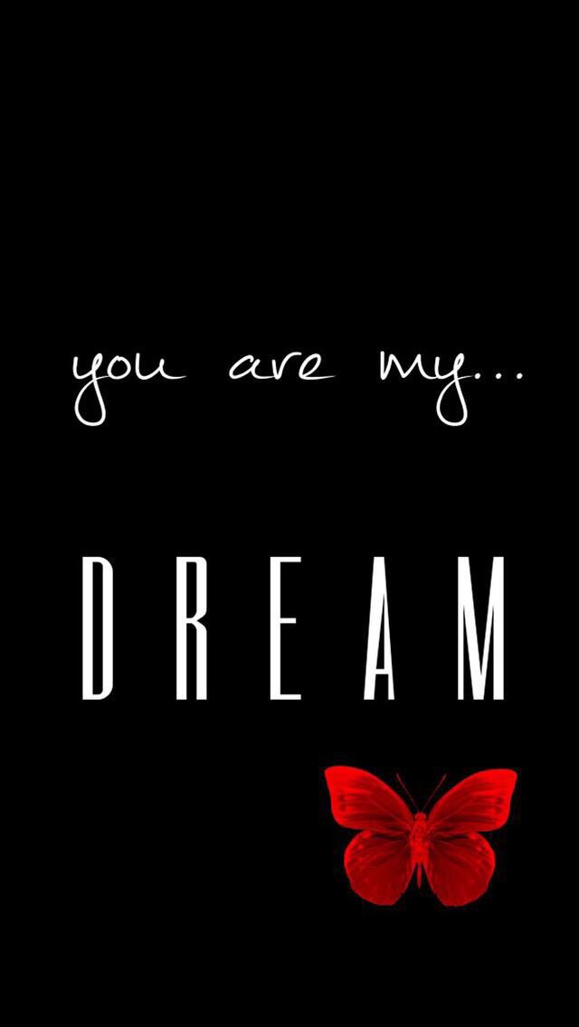 Butterfly - HD Wallpaper 