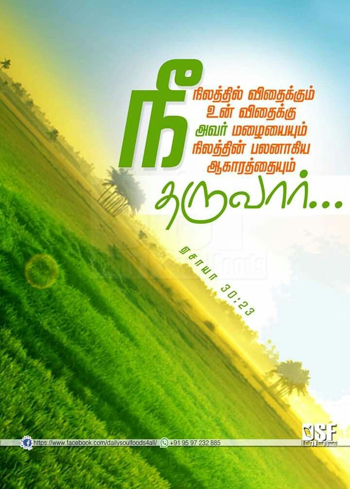 Poster - HD Wallpaper 