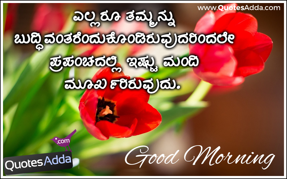 Kannada Wishes Good Morning Images - Tulip - 950x594 Wallpaper Kannada Wishes Good Morning Images - Tulip - 950x594 Wallpaper