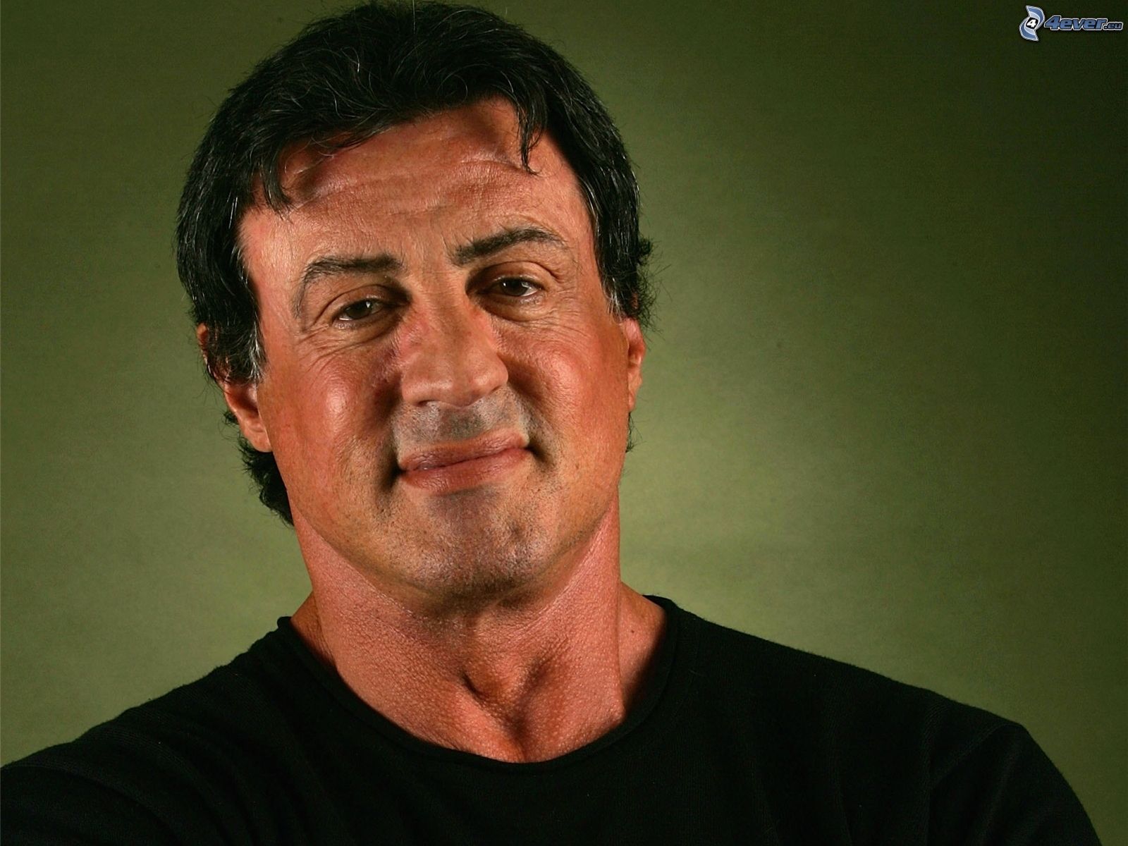 Sylvester Stallone Hd - HD Wallpaper 