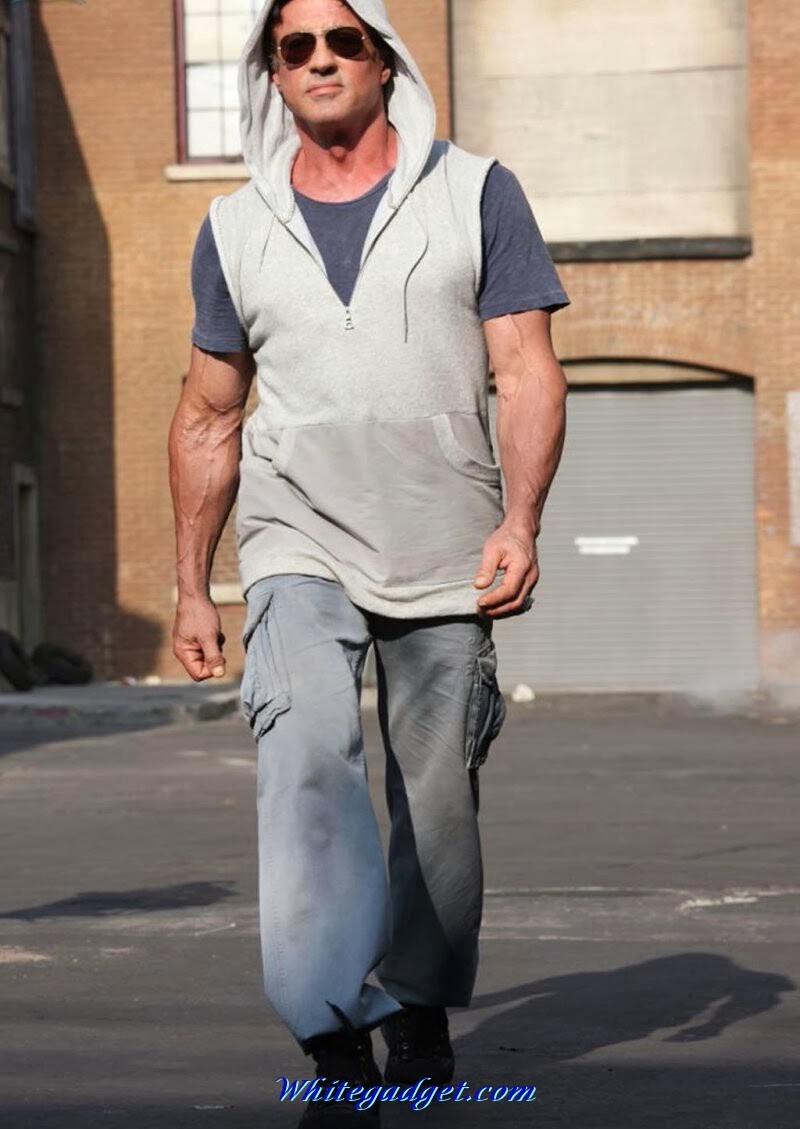 Sylvester Stallone Wallpaper,free Hd Wallpapers,hd - Hd Wallpapers Sylvester Stallone Hd - HD Wallpaper 