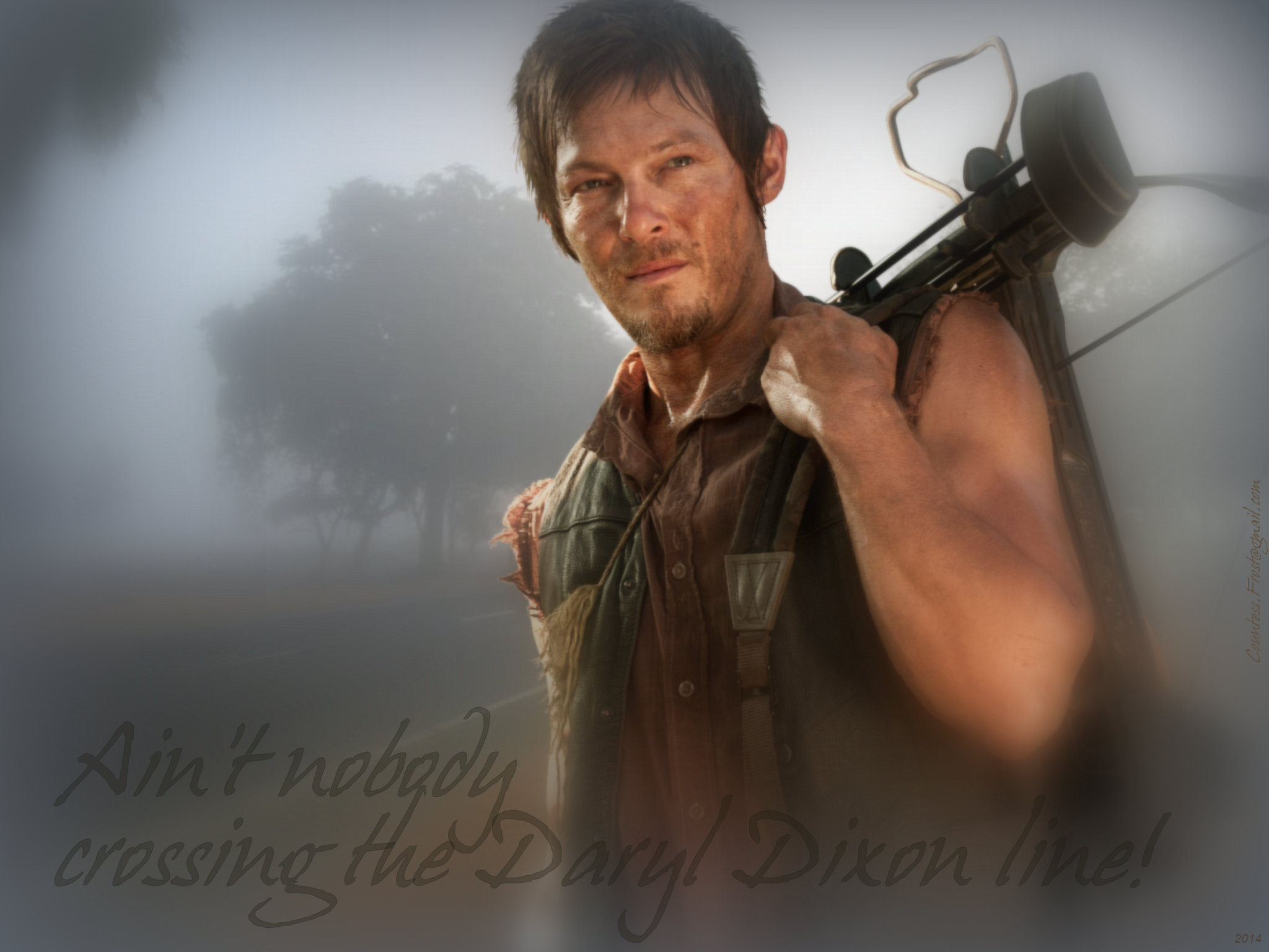 Walking Dead Daryl Dixon Png - HD Wallpaper 