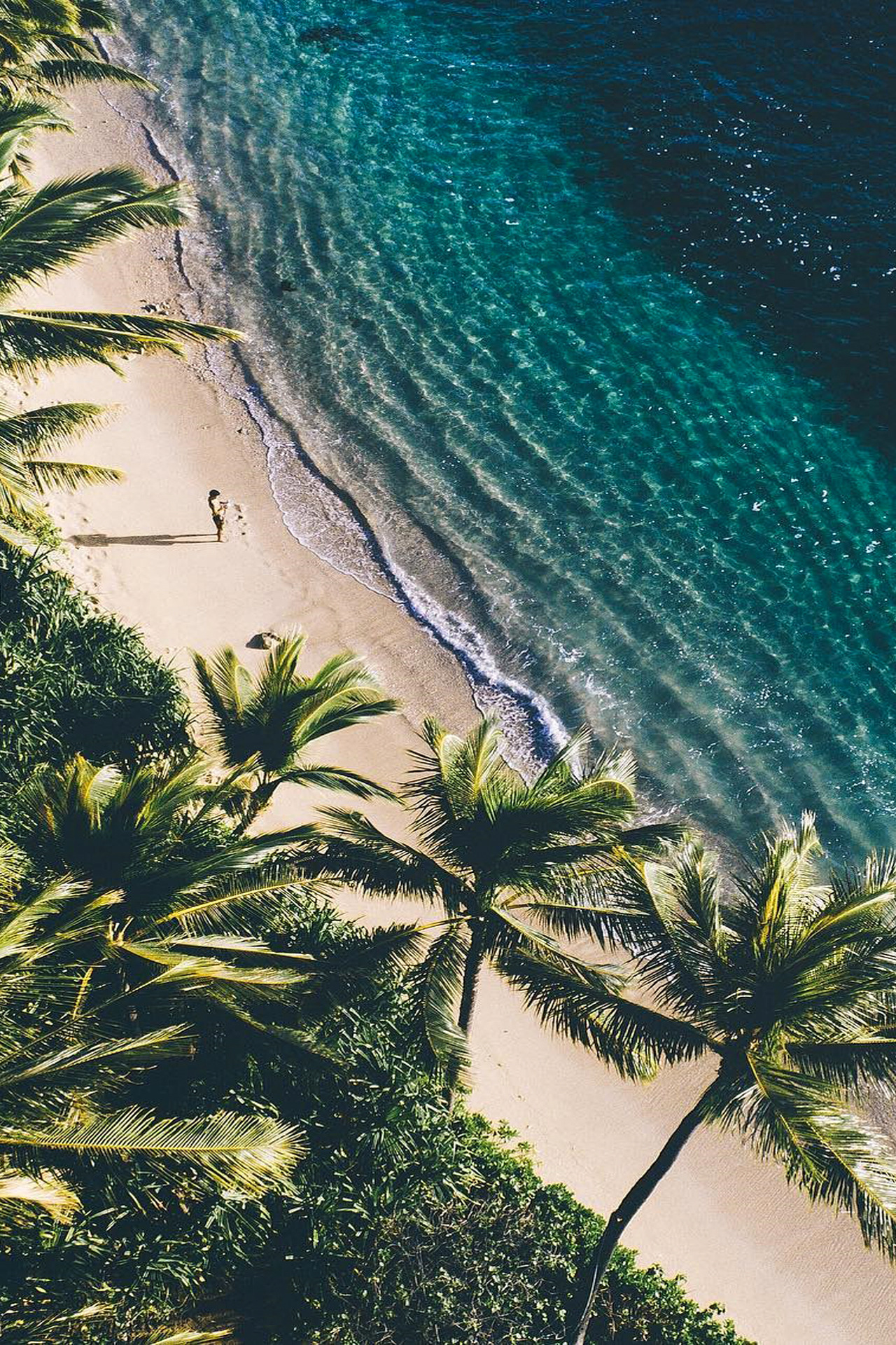 Hawaii Aesthetic - HD Wallpaper 