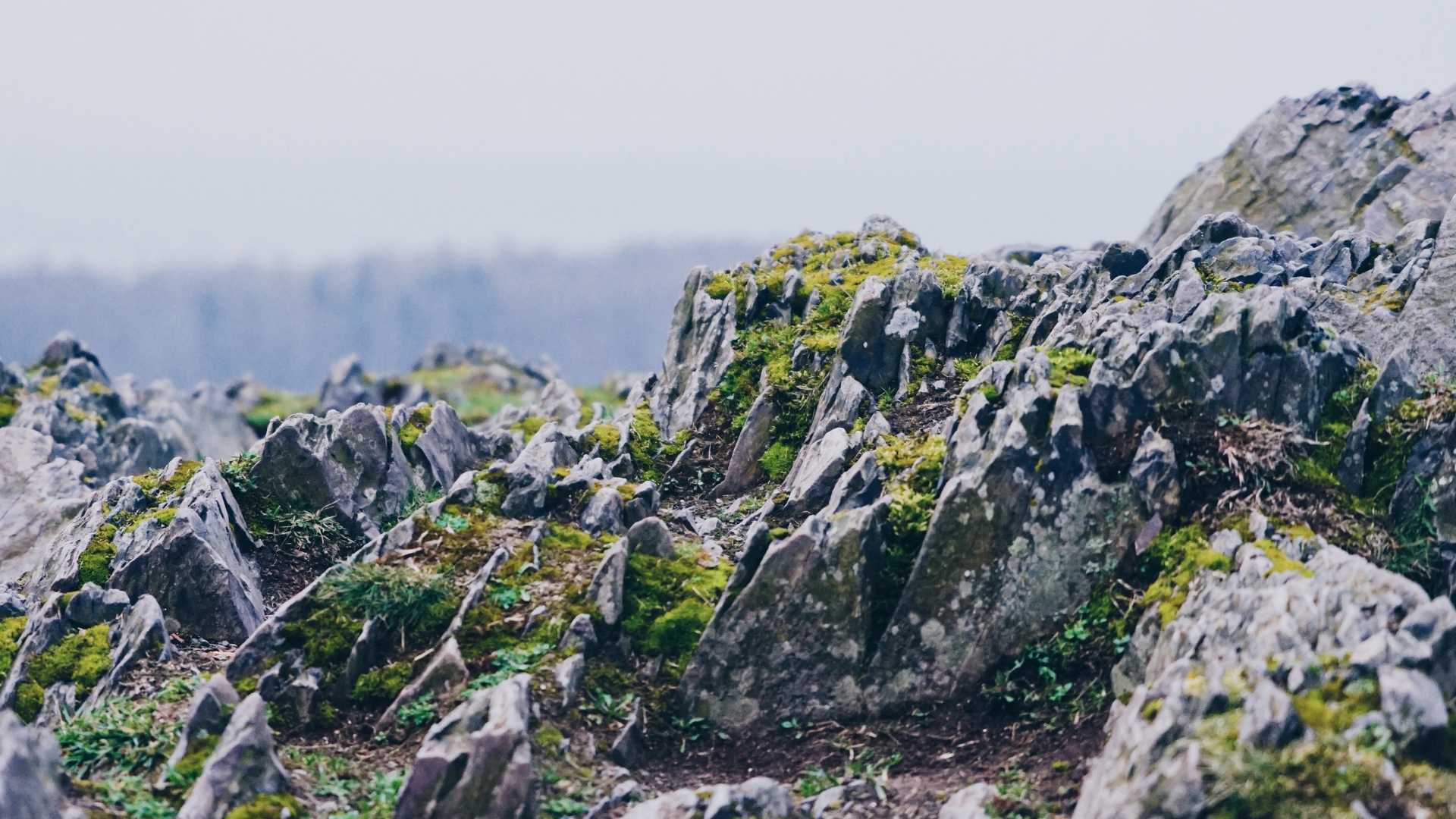 Wallpaper Rocky, Uneven, Rugged, Stones, Moss, Rock - Rocks 4k - HD Wallpaper 