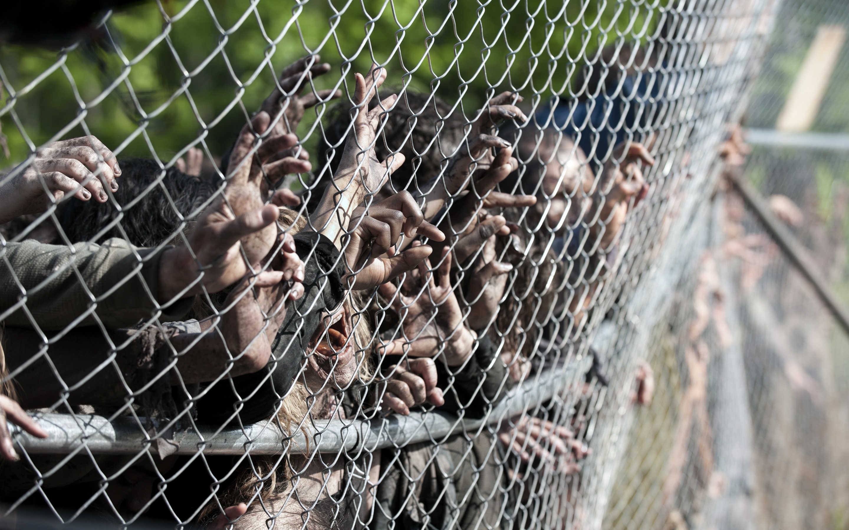 Wallpaper The Walking Dead, Many Hands, Zombies, Fence - Walking Dead Prison Scene - HD Wallpaper 