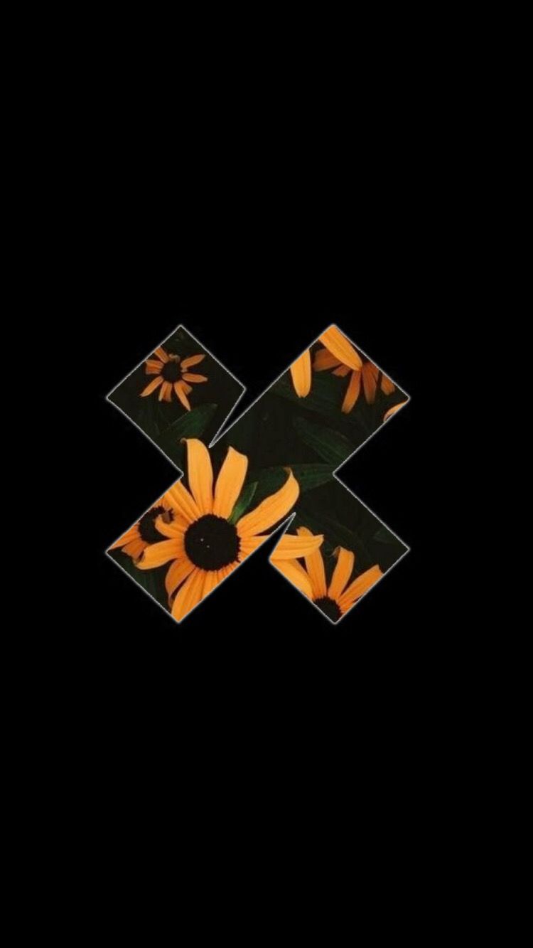 Xplr Sam And Colby - HD Wallpaper 