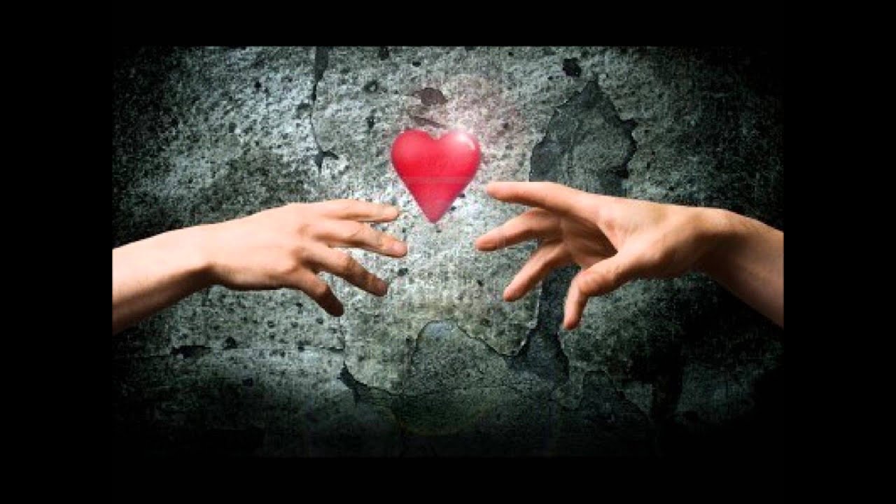 Loyal Lovers - HD Wallpaper 