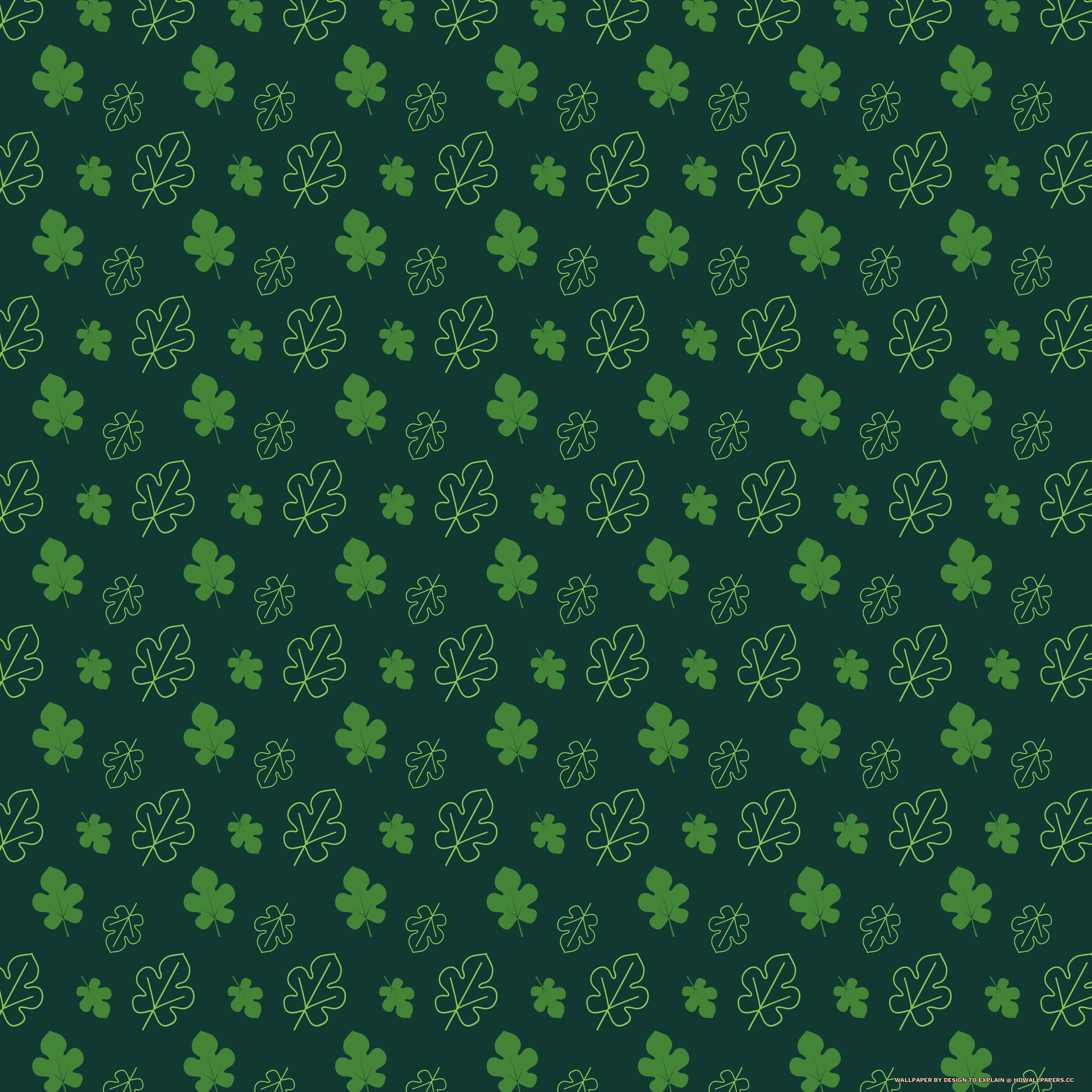 Wallpaper - HD Wallpaper 