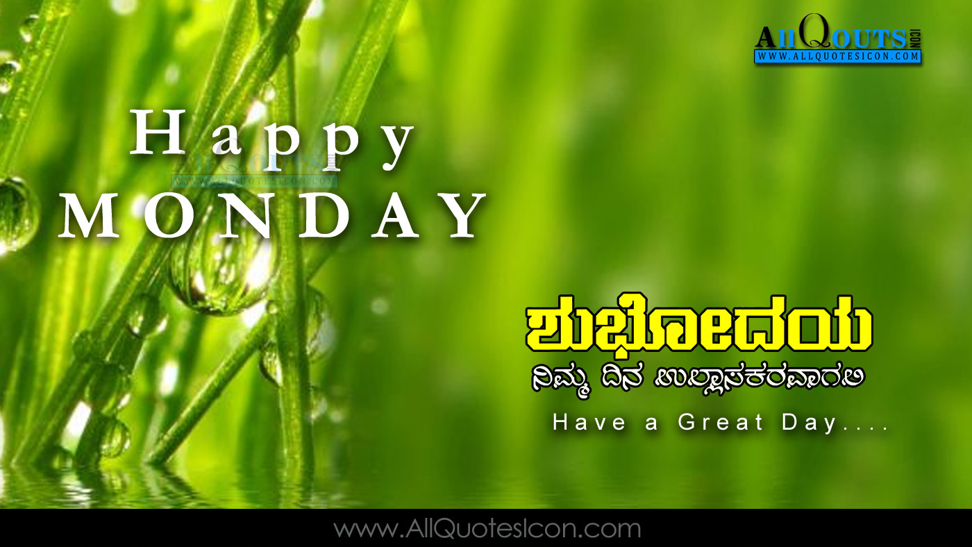 Good Morning Quotes Images In Kannada Wallpapergood - Grass With Water Drops - HD Wallpaper 