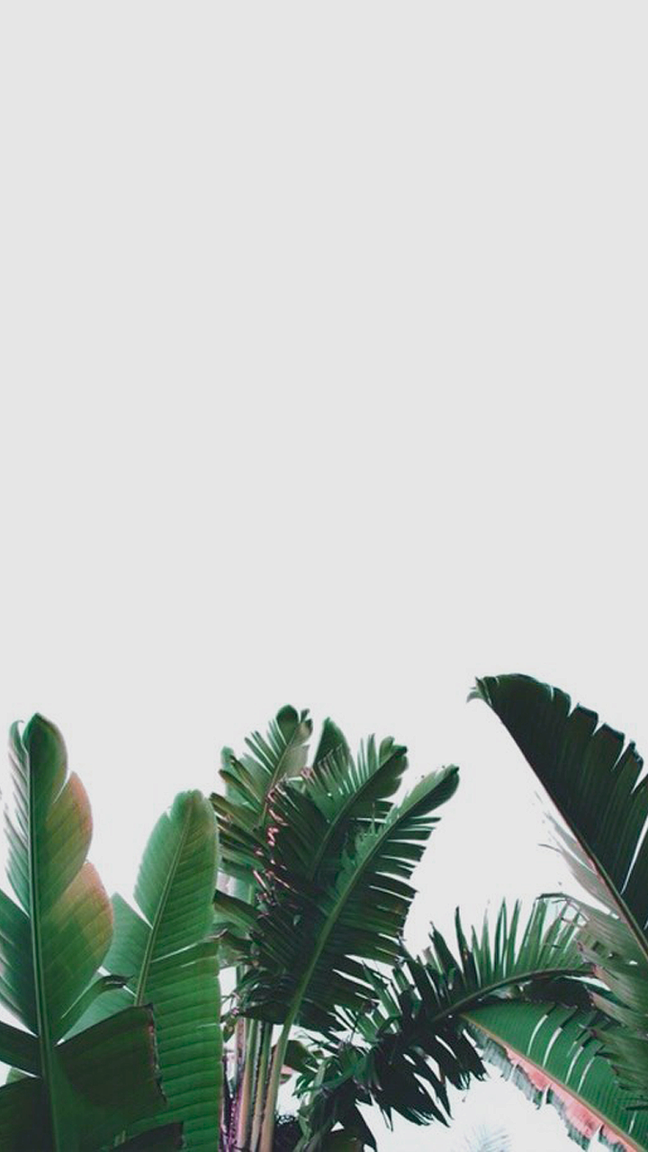 Wallpaper, Background, And Iphone Image - We Heart It Background - HD Wallpaper 