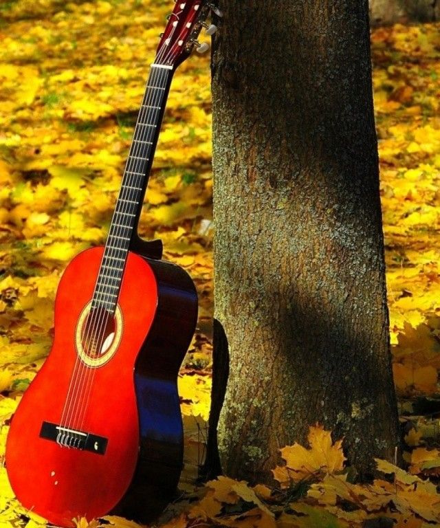 Guitar And Tree Background - HD Wallpaper 