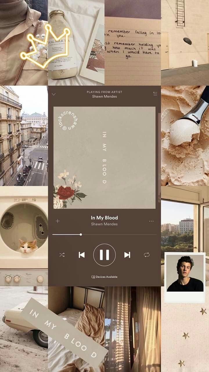 Aesthetic Wallpaper Iphone Shawn Mendes - HD Wallpaper 