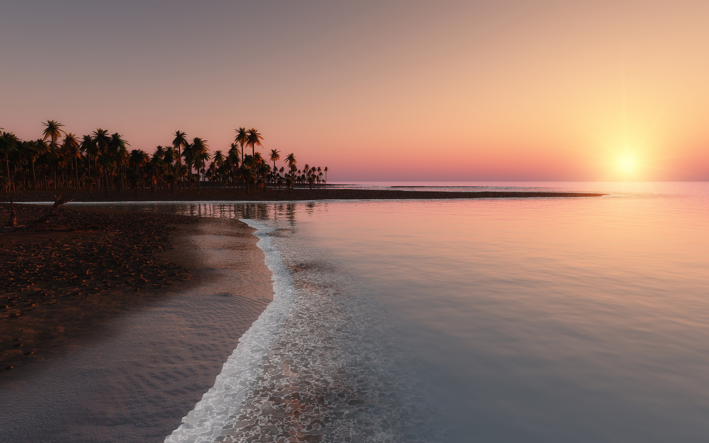 Tropical Palms Sunset - HD Wallpaper 