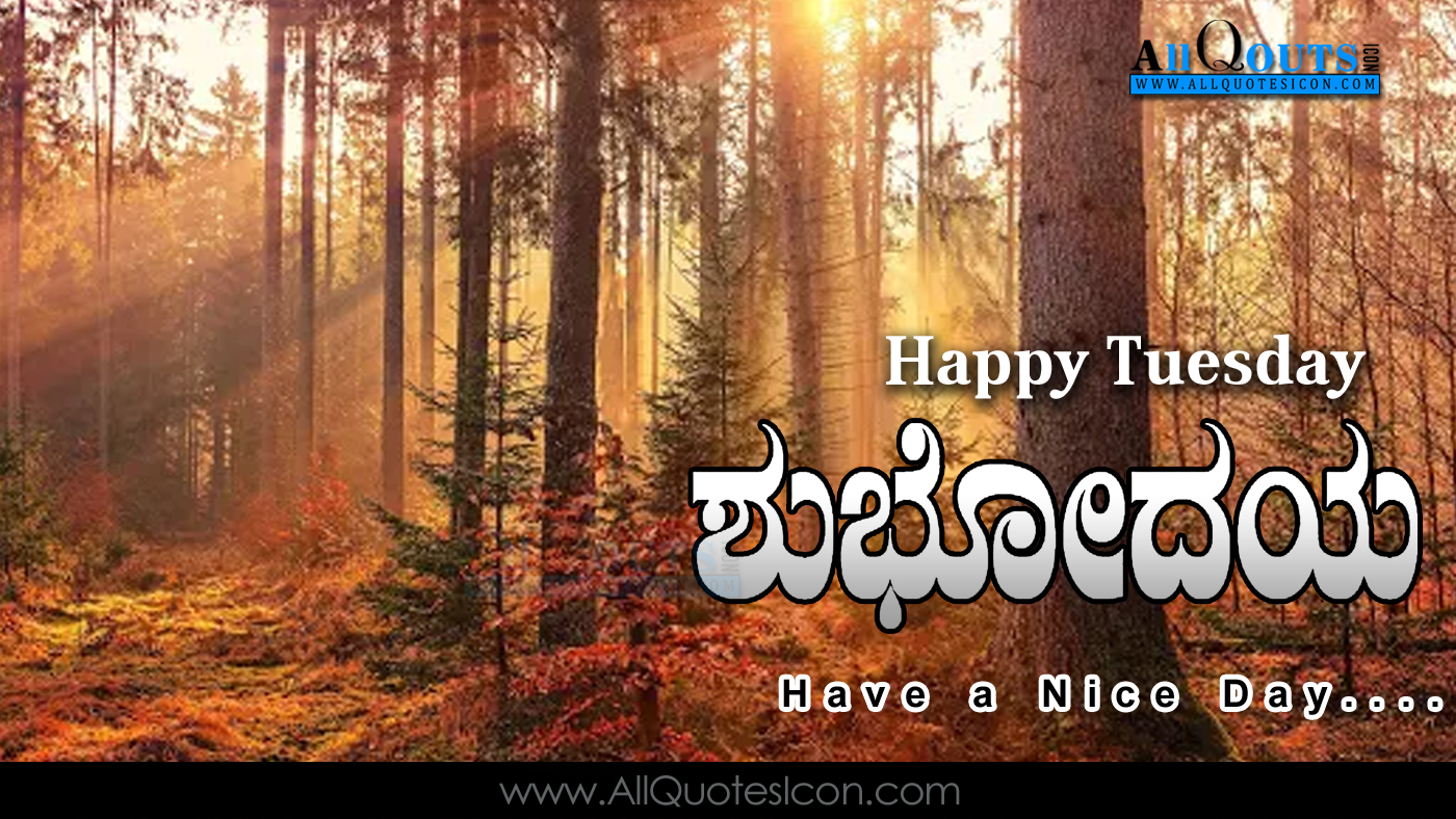 Kannada Good Morning Quotes Wshes For Whatsapp Life - Landscape Beginner Oil Paintings - HD Wallpaper 