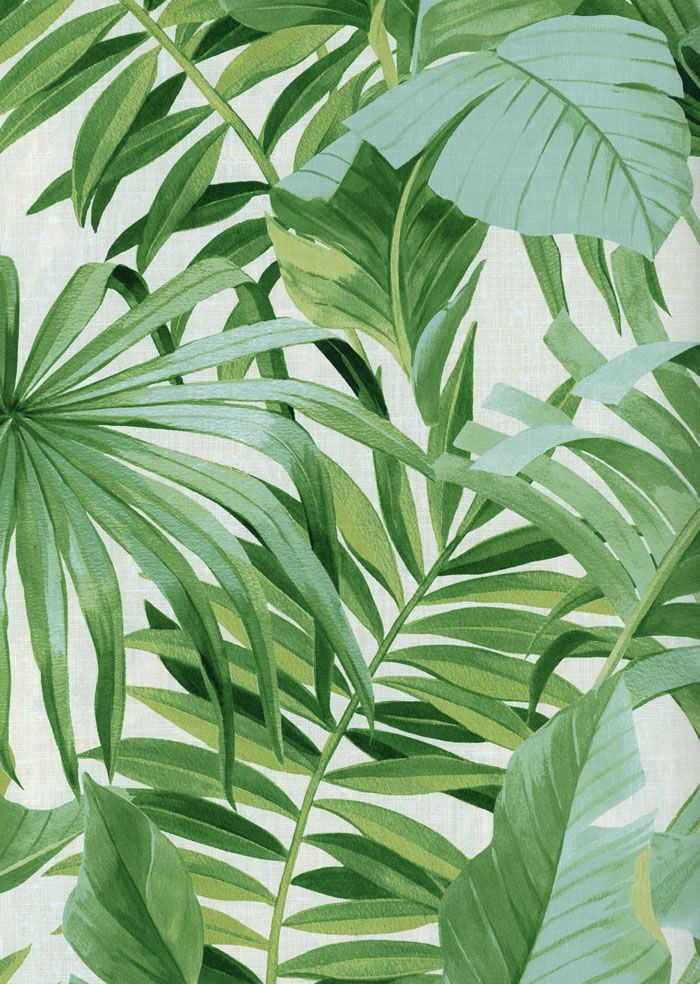 Palm Tree Wall Paper - HD Wallpaper 