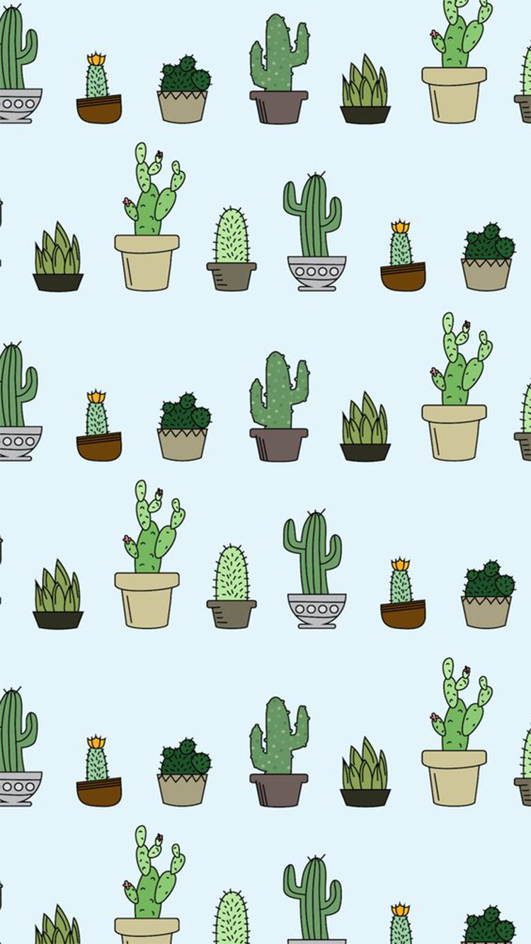 Cute Plant - HD Wallpaper 