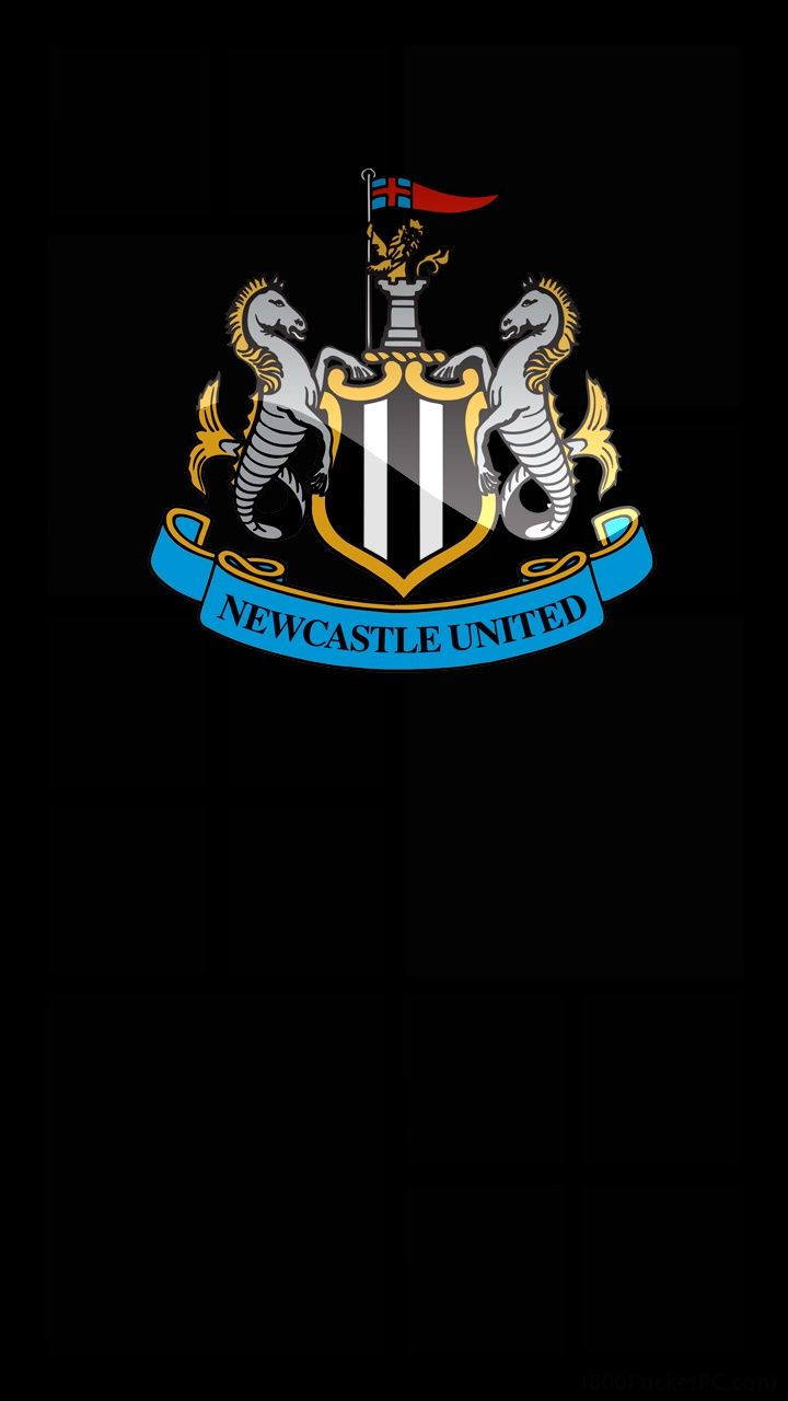 Newcastle United Steve Bruce - HD Wallpaper 