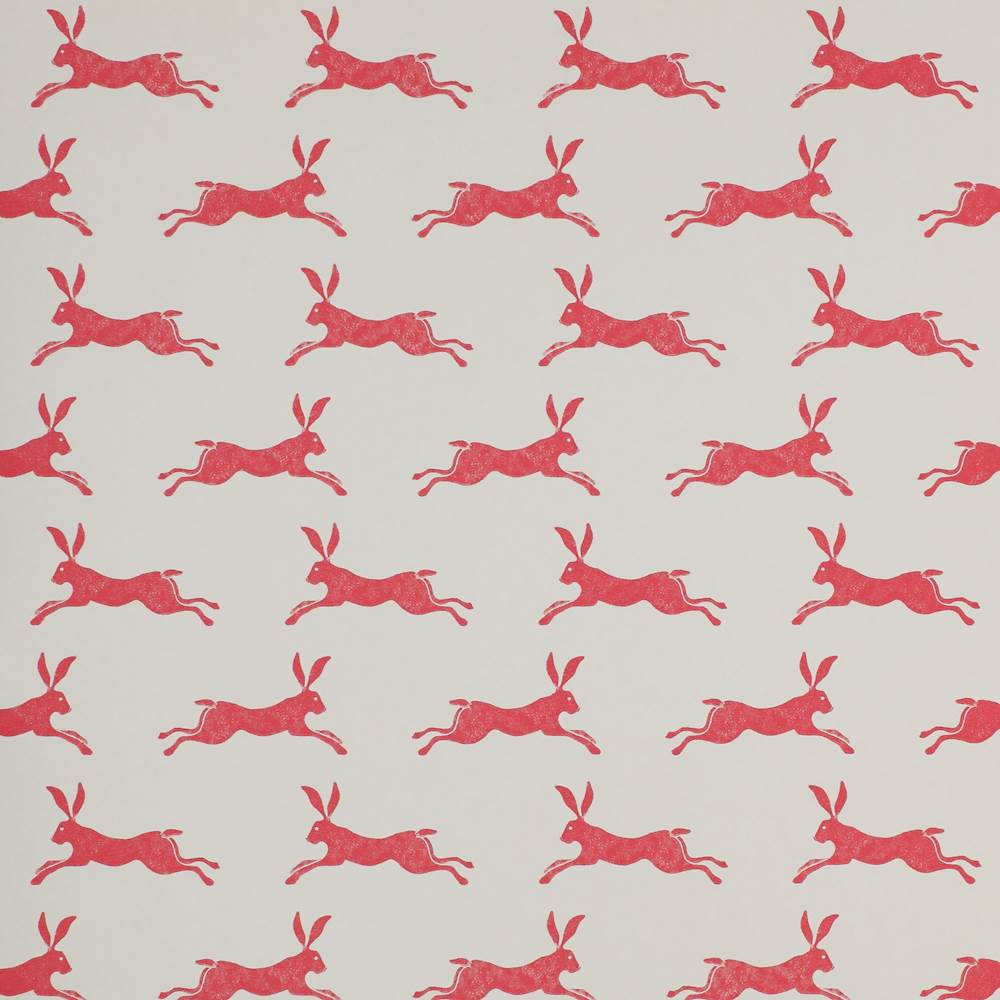Hare Wallpaper For Walls - HD Wallpaper 