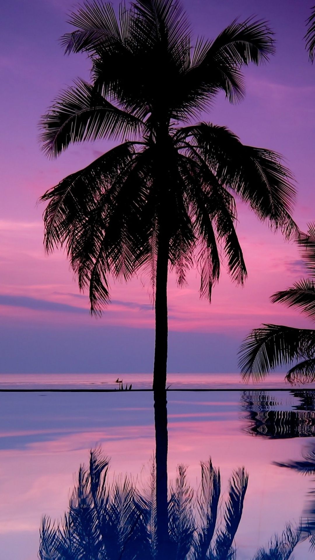 Iphone Background Palm Trees - HD Wallpaper 