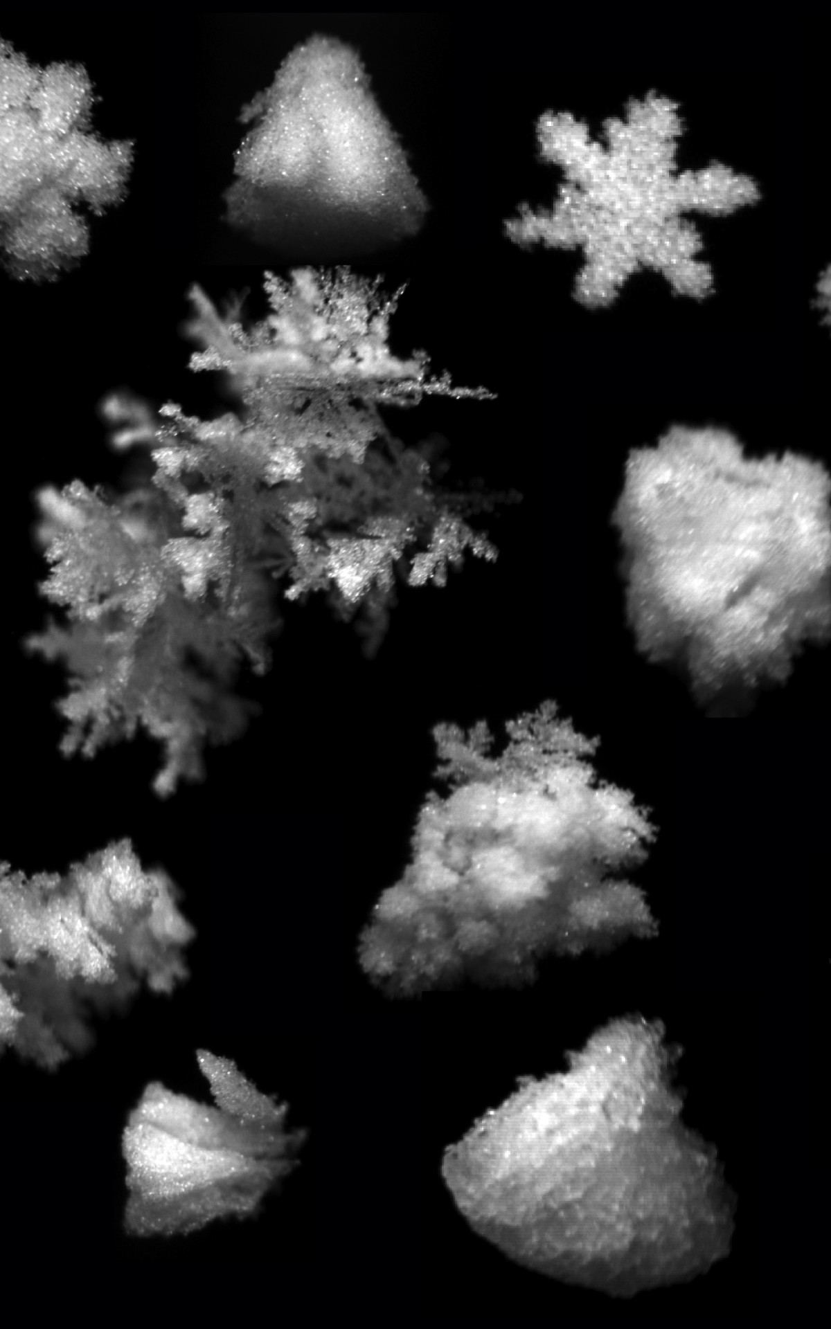 Gustav Hellmann Snowflakes - HD Wallpaper 