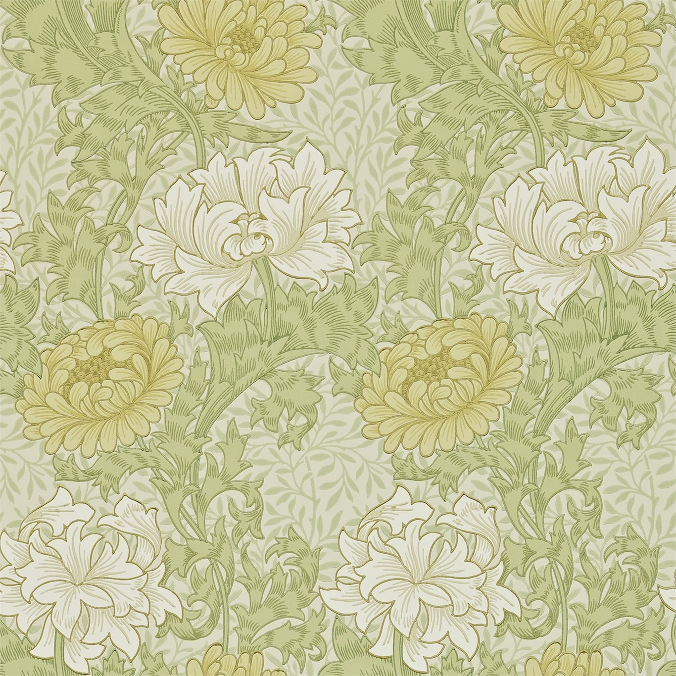 Chrysanthemum, A Wallpaper By Morris & Co - William Morris Chrysanthemum - HD Wallpaper 