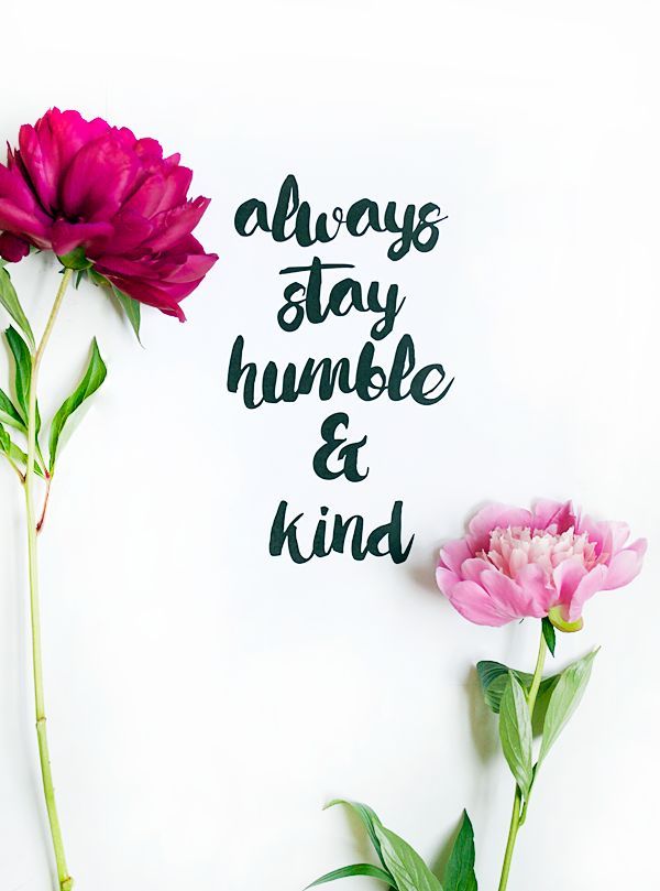 Always Stay Humble And Kind Background - HD Wallpaper 