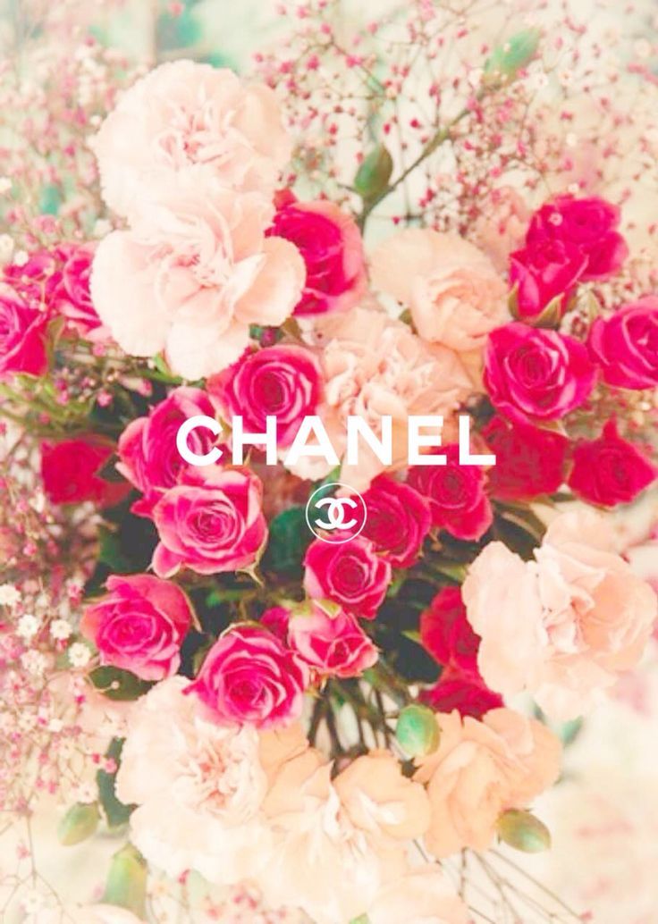 Chanel Roses - HD Wallpaper 