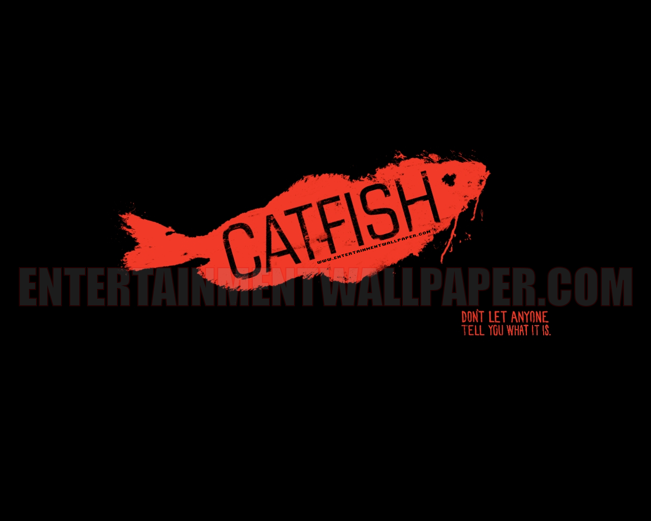 Show Catfish Wallpaper 10023107 Size More Catfish Wallpaper - Catfish Movie Poster - HD Wallpaper 