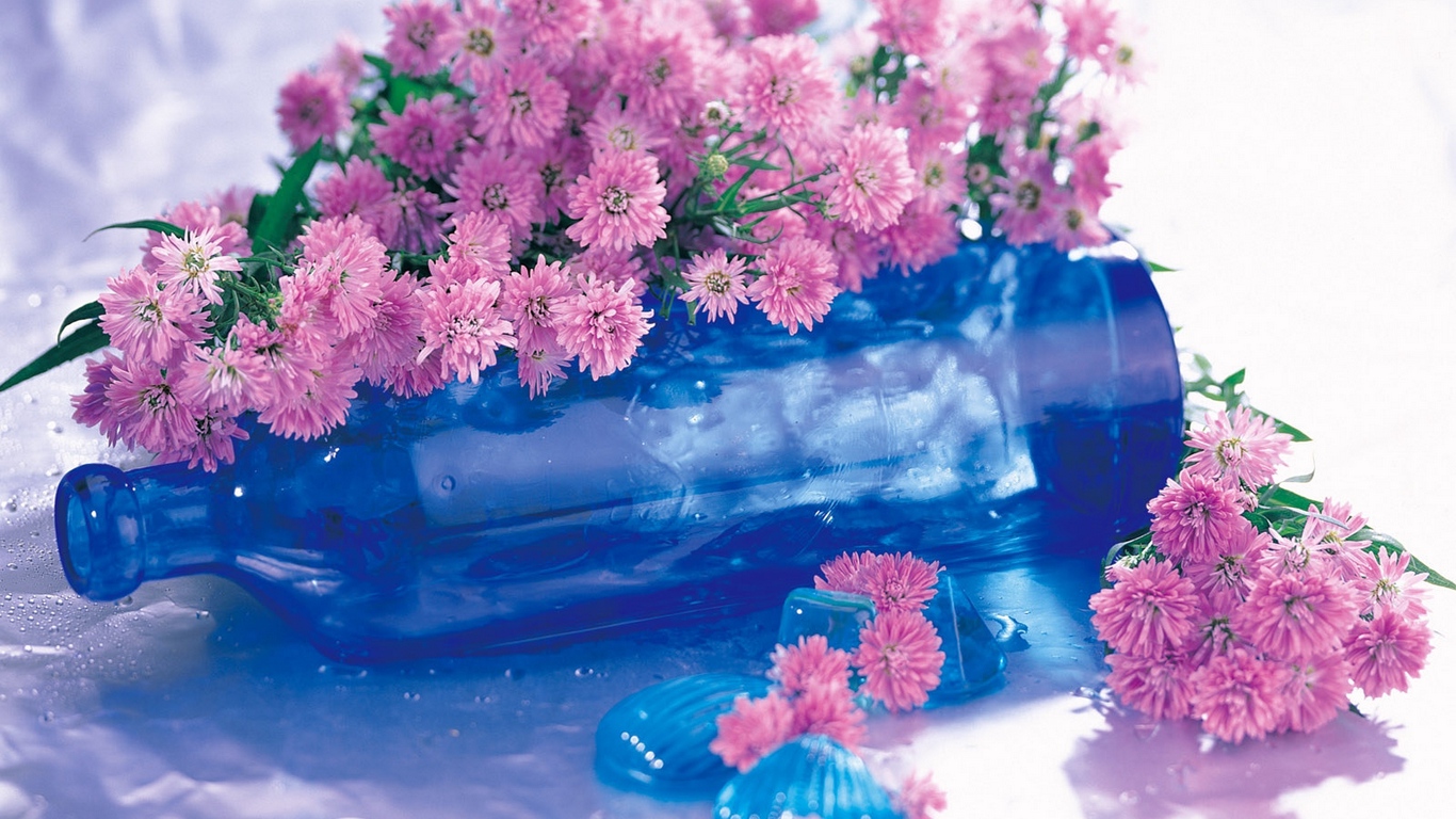 Chrysanthemums Flowers Wallpaper Chrisantems - HD Wallpaper 