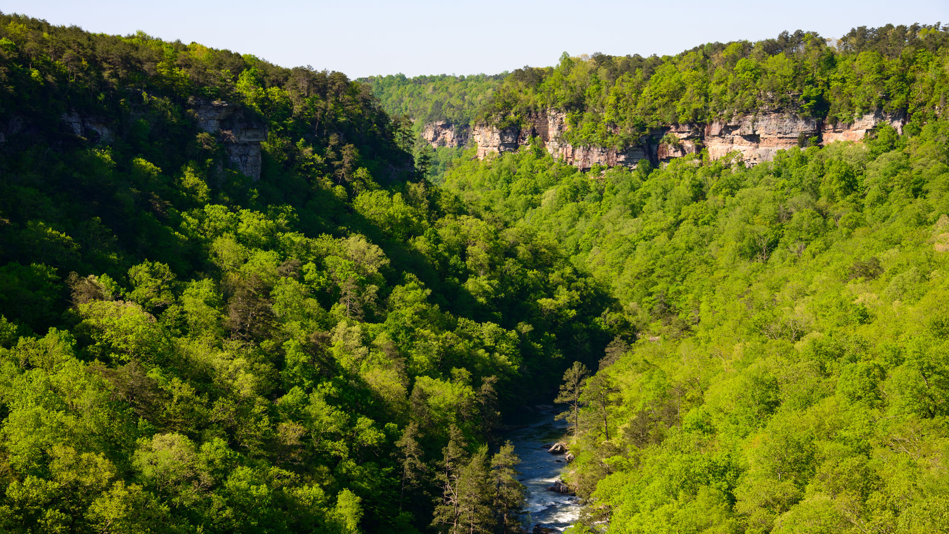 Stock Photography - HD Wallpaper 