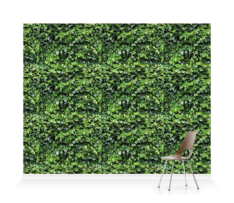 Hedge - HD Wallpaper 