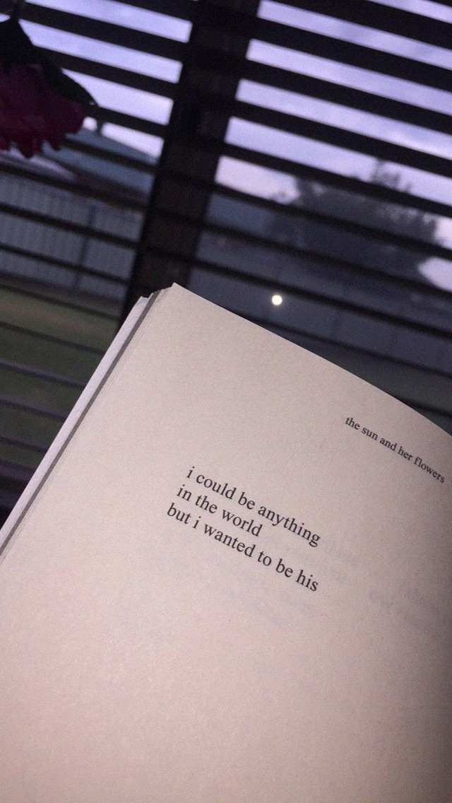 Sun And Her Flowers - HD Wallpaper 