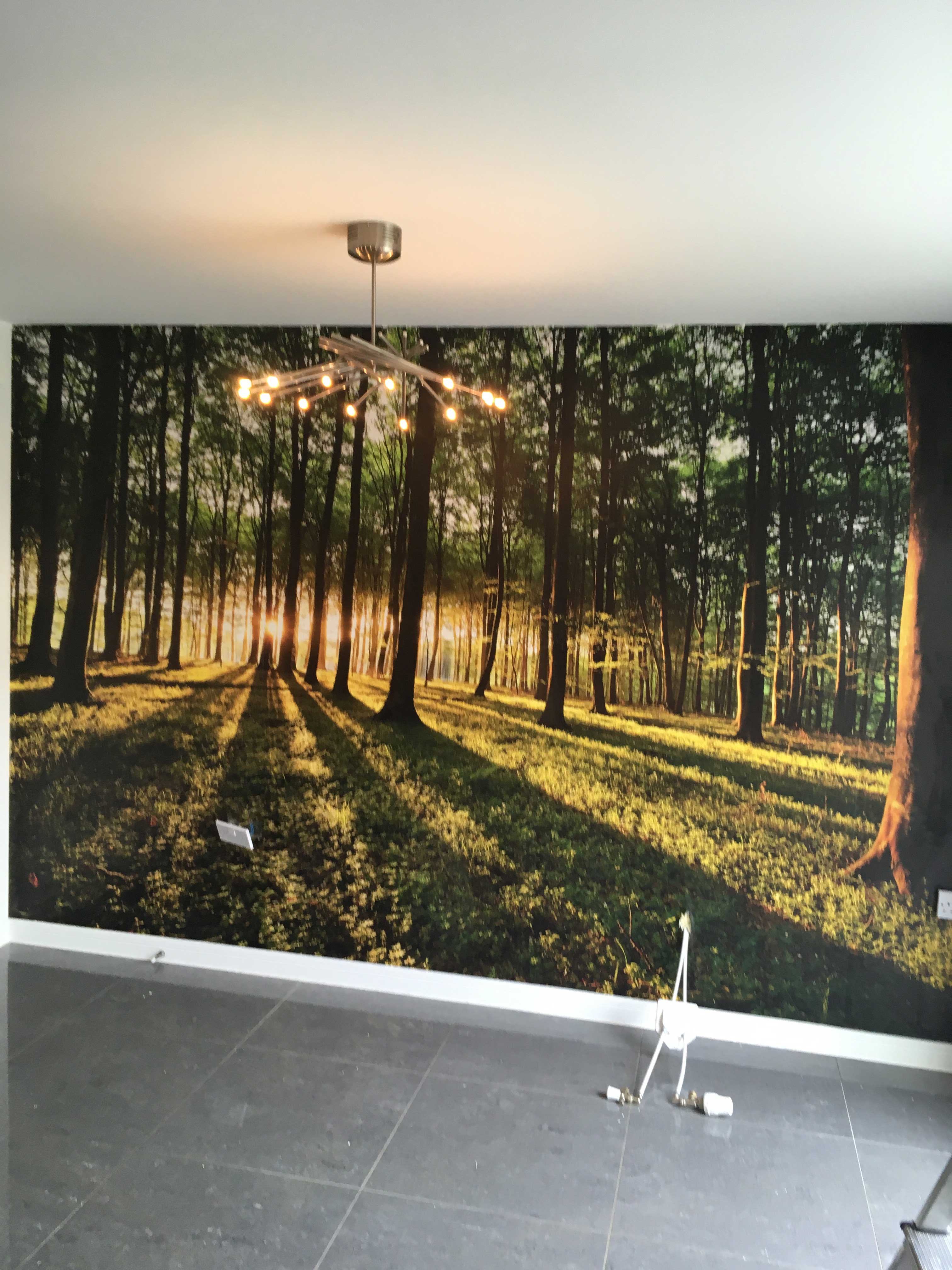 Park Narodowy W Warszawie - HD Wallpaper 