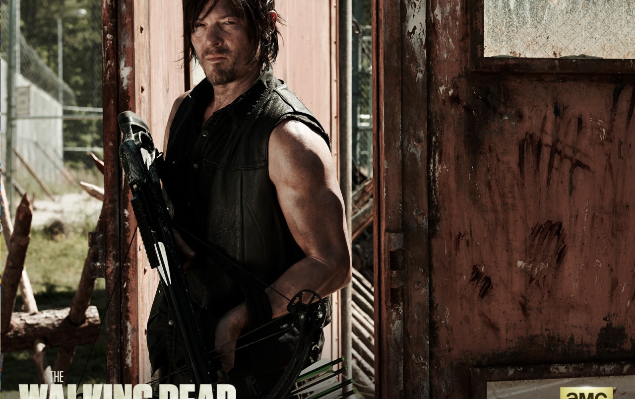 The Walking Dead Season - Walking Dead Daryl Staffel 4 - HD Wallpaper 