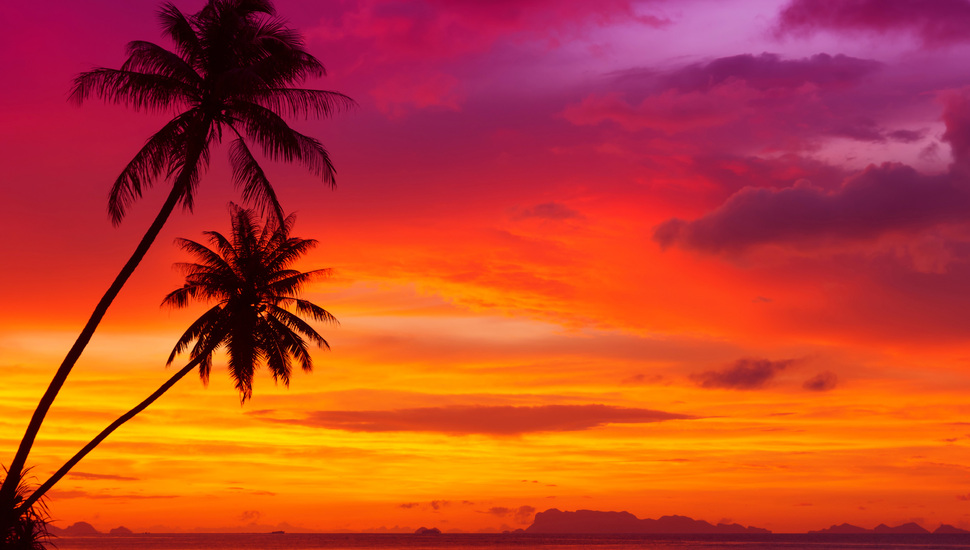 Beautiful Red Sky, Palm Trees, Landscape, Ocean, Nature, - Sunset Palm Tree Landscape - HD Wallpaper 