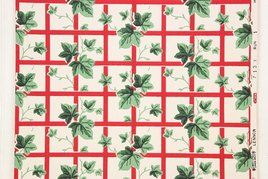 Impatiens - HD Wallpaper 