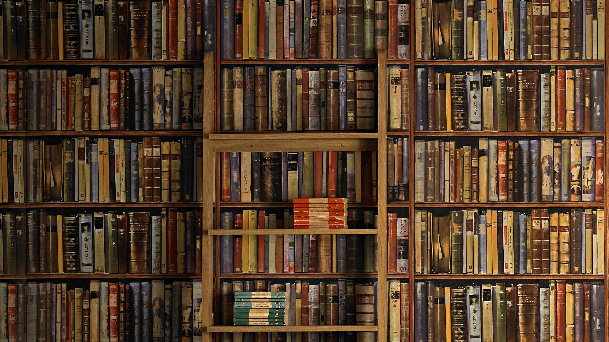 Tumblr Static Tumblr Static Focused V3 - High Resolution Library Background - HD Wallpaper 