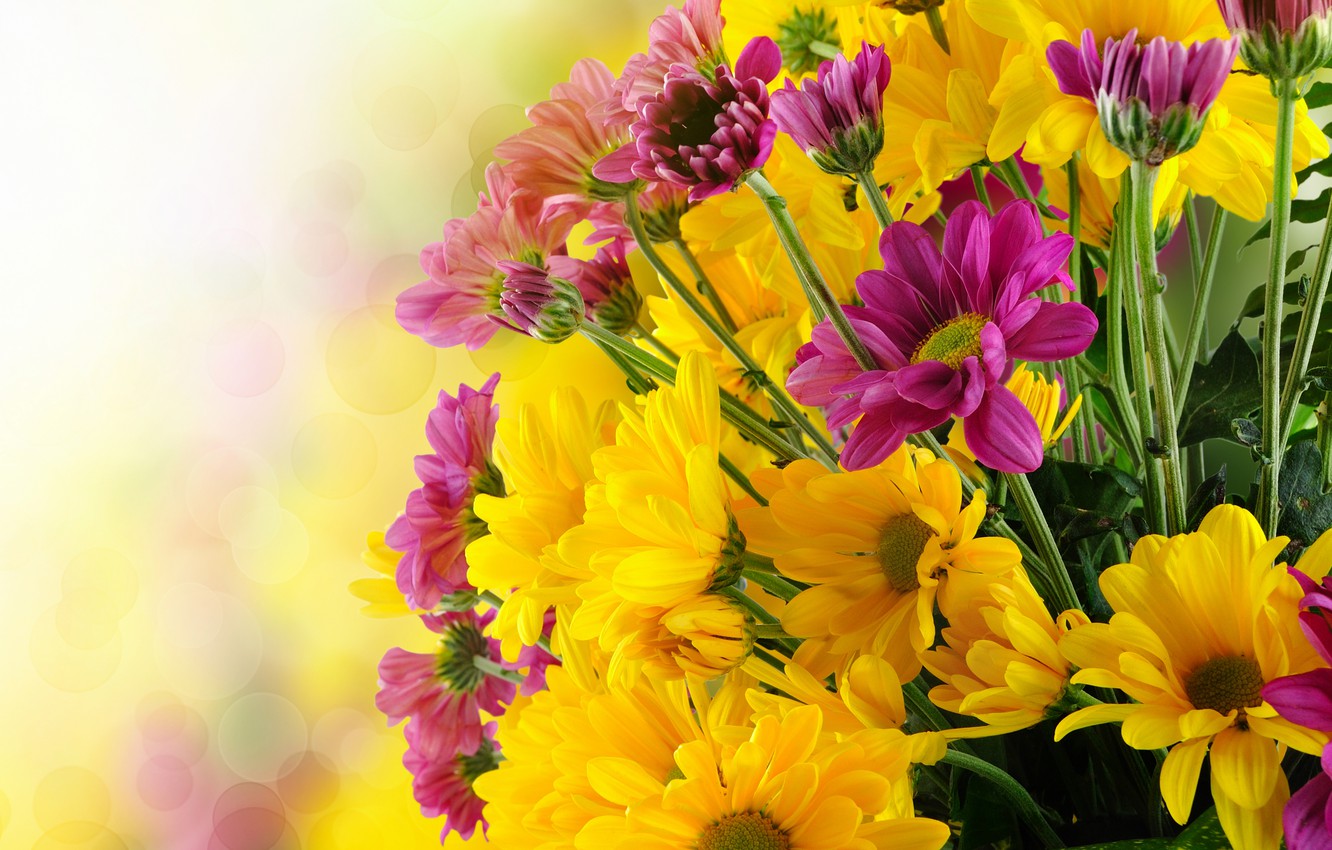 Photo Wallpaper Flowers, Bouquet, Chrysanthemum, Flowers, - Happy Sister Day Gifts - HD Wallpaper 