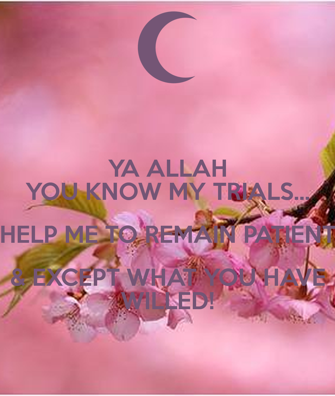 Ya Allah You Know My Trials Help Me To Remain Patient - Ya Allah Help Me Exam - HD Wallpaper 